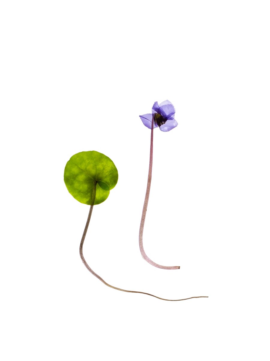 Murnau, Germany, 03/2024