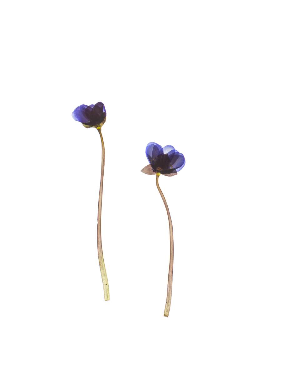 Schäftlarn, Germany, 03/2024