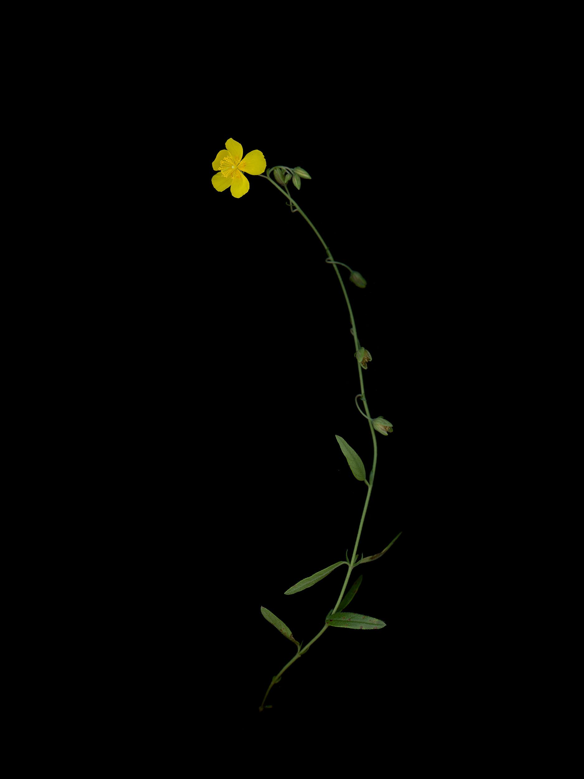 Thalkirchen, Germany, 09/2025