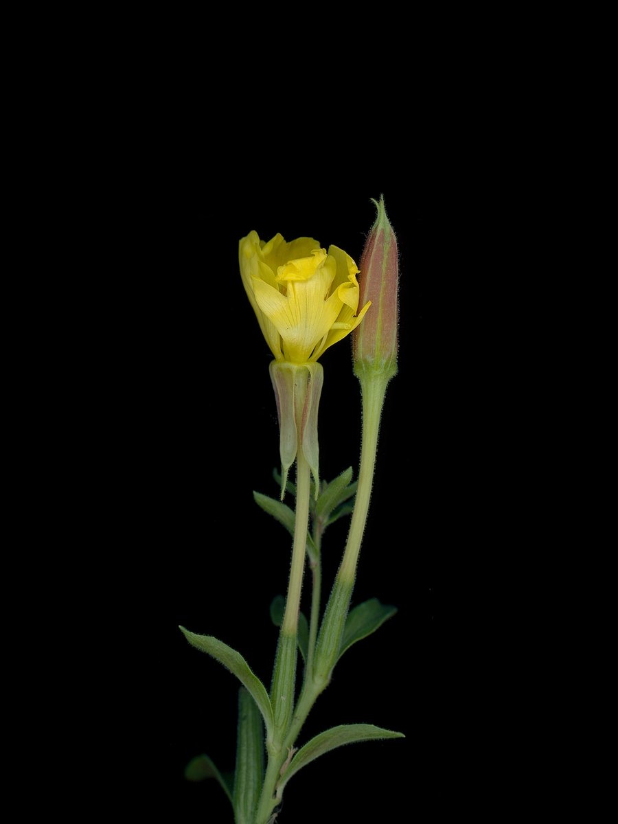 Detail, Munich, Germany, 10/2025