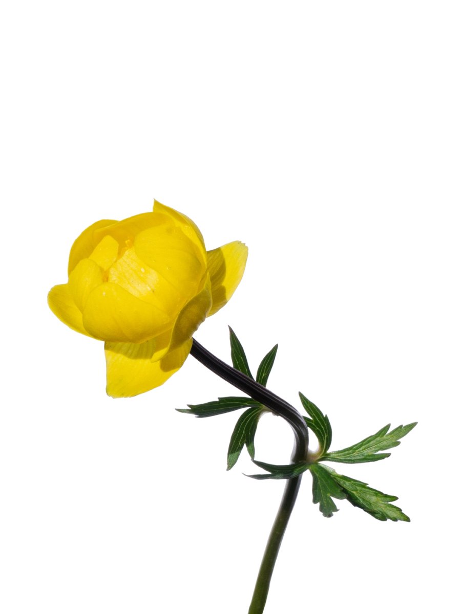 Murnau, Germany, 04/2026