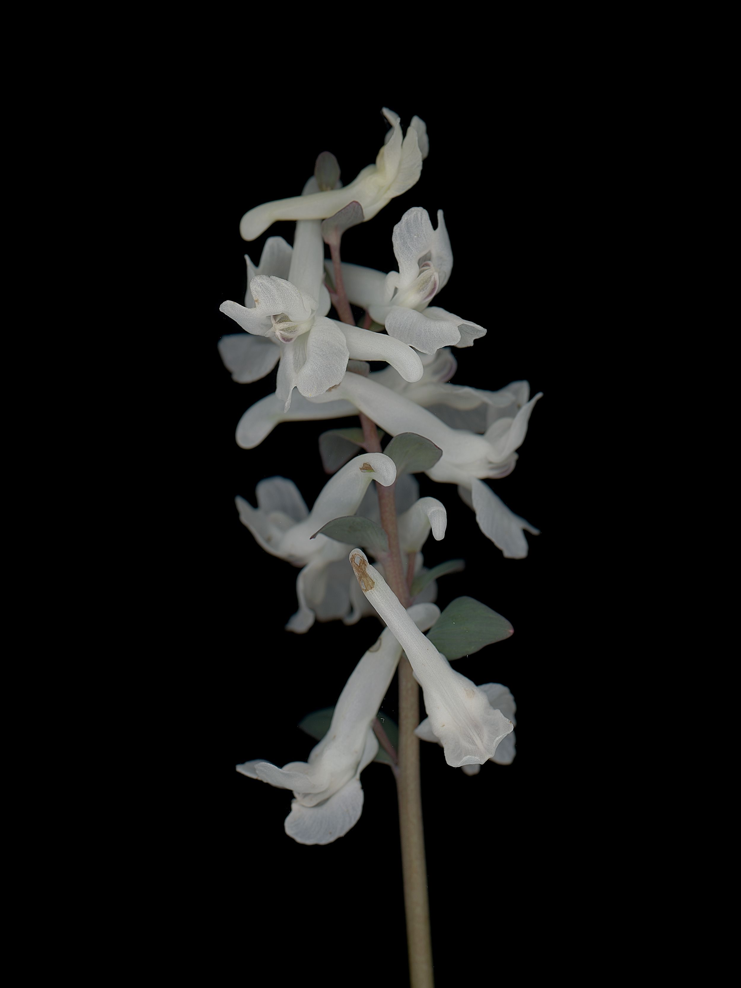 München, Germany, 03/2026