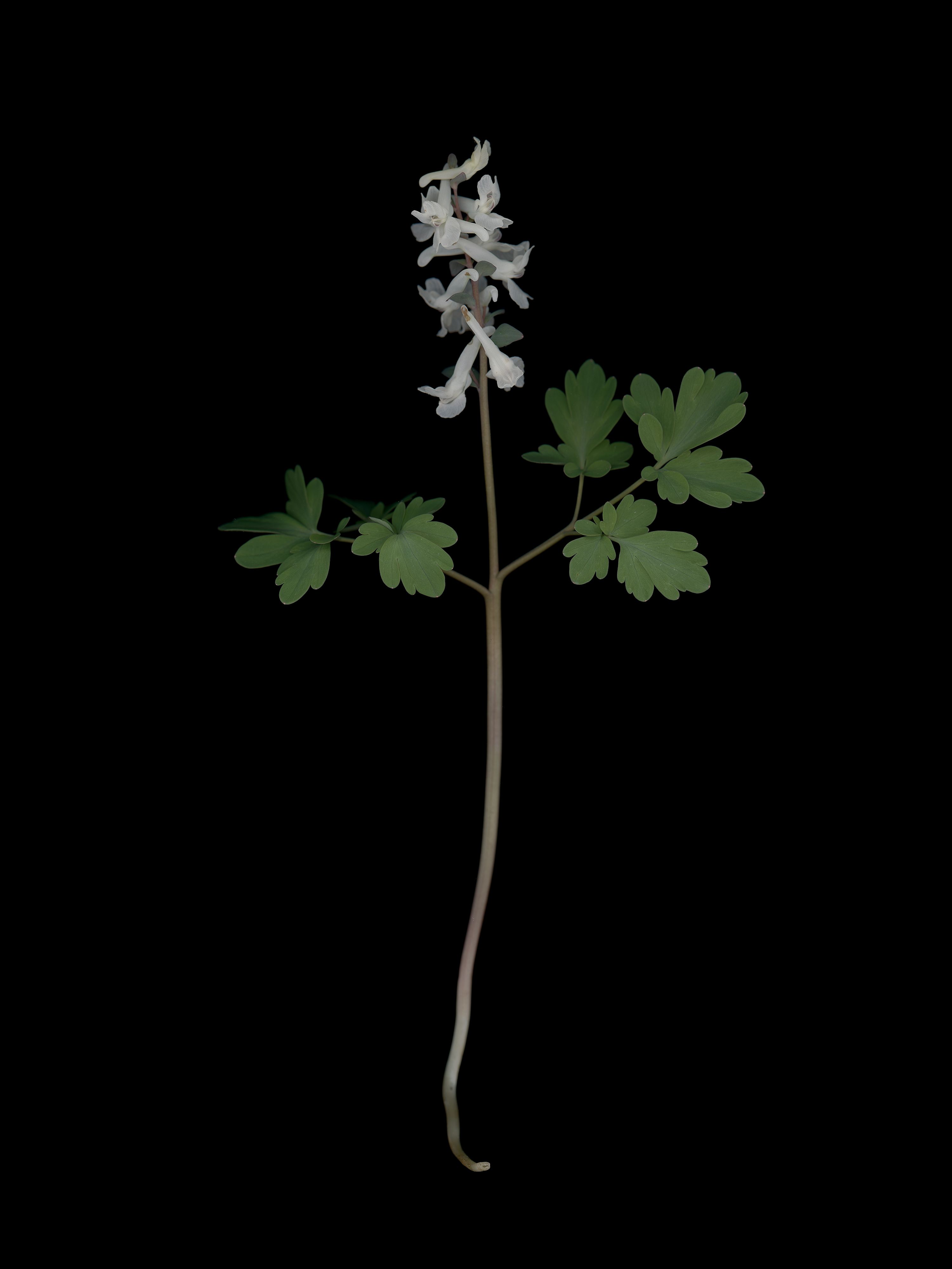 München, Germany, 03/2026