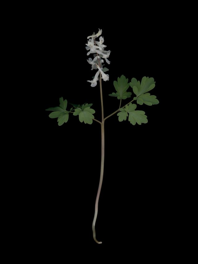 München, Germany, 03/2026