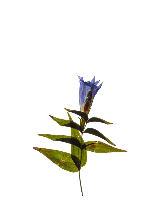 Petrovo Brdo, Slovenia, 09/2022