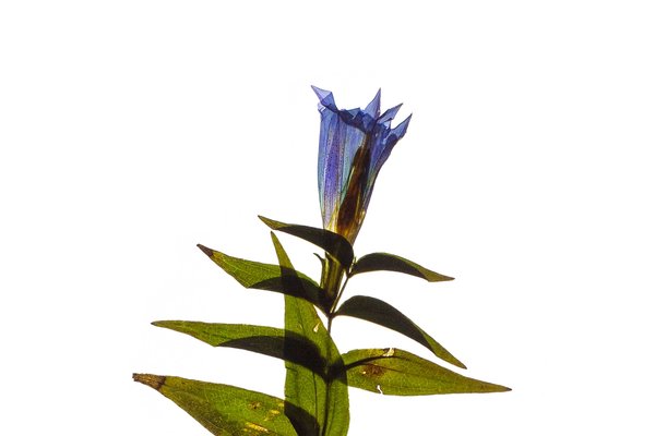 Petrovo Brdo, Slovenia, 09/2022