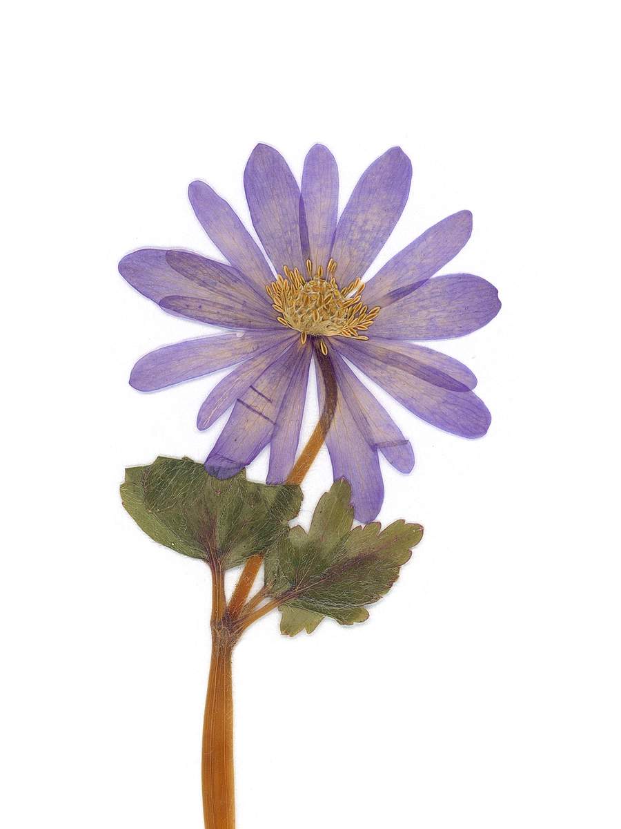 Stuttgart, Germany, 04/2021