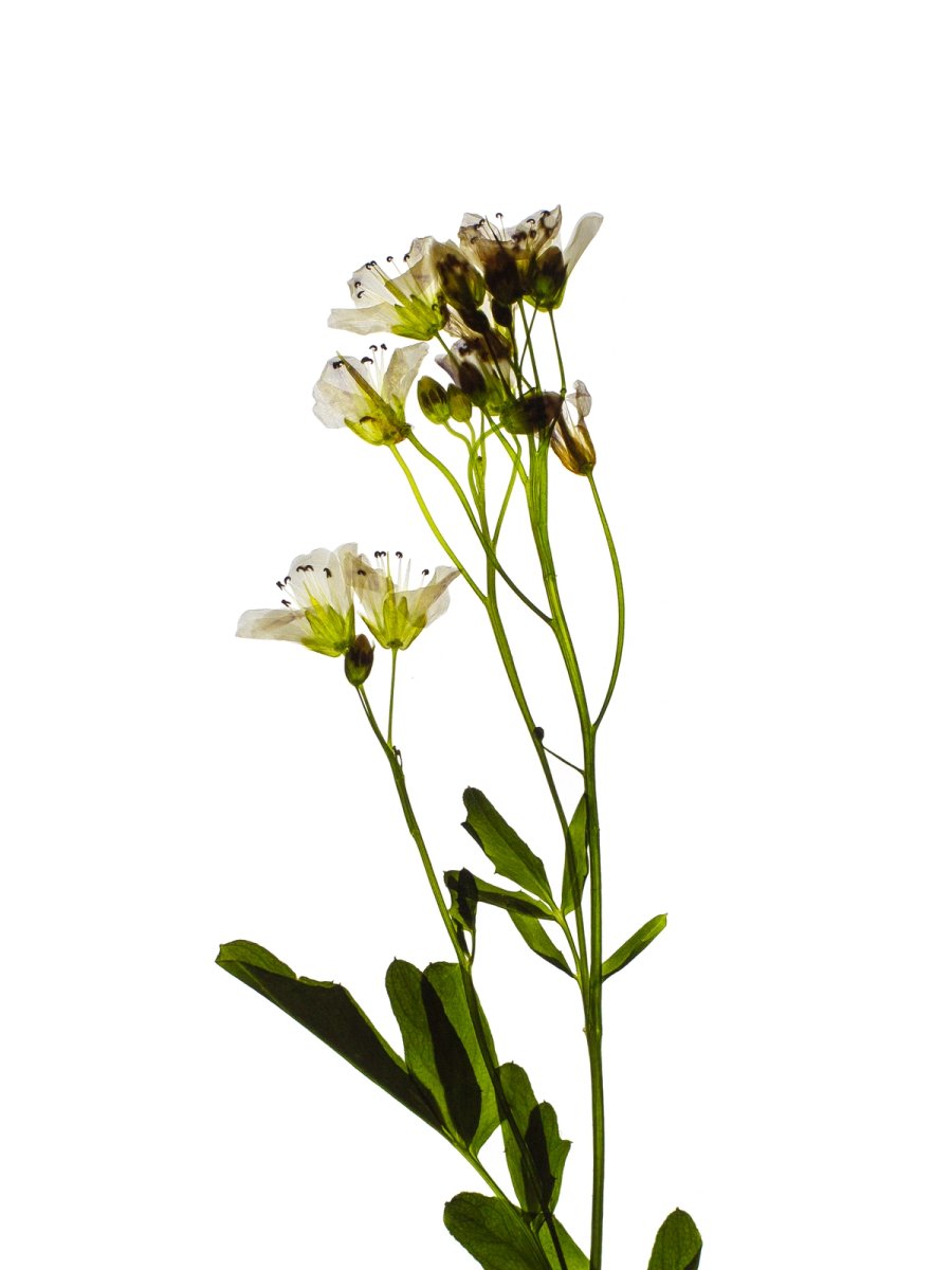 Detail, Thalkirchen, Germany, 05/2024