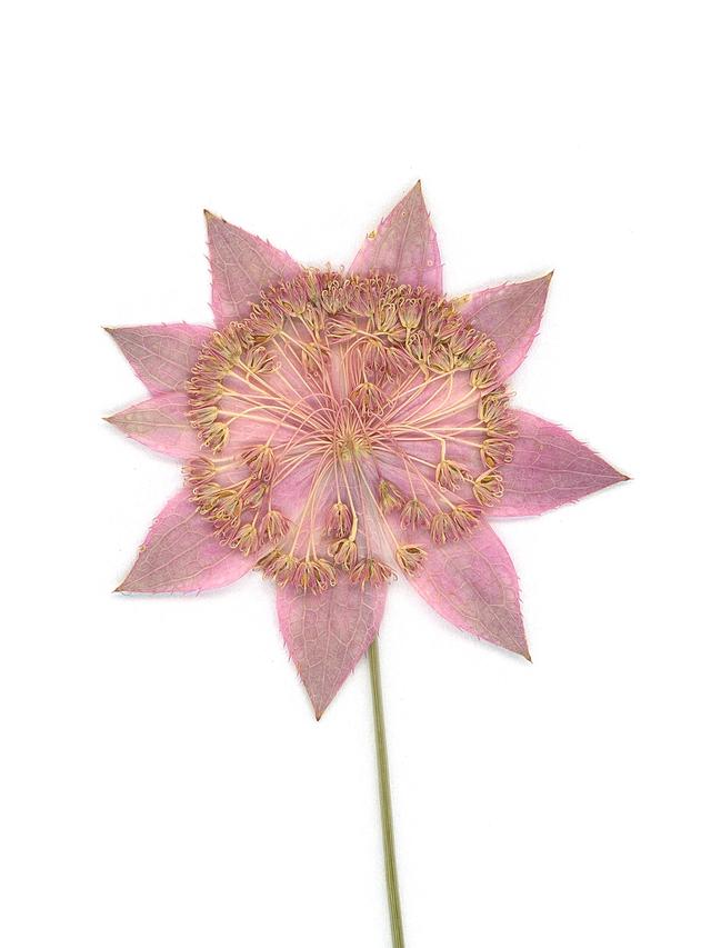 Ushguli, Georgia, 08/2019