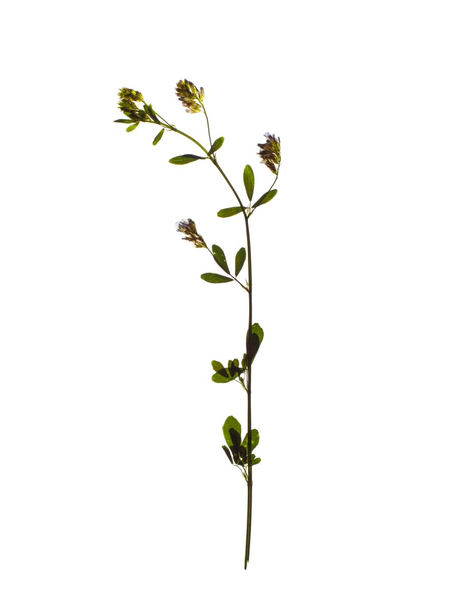 Stuttgart, Germany, 07/2022