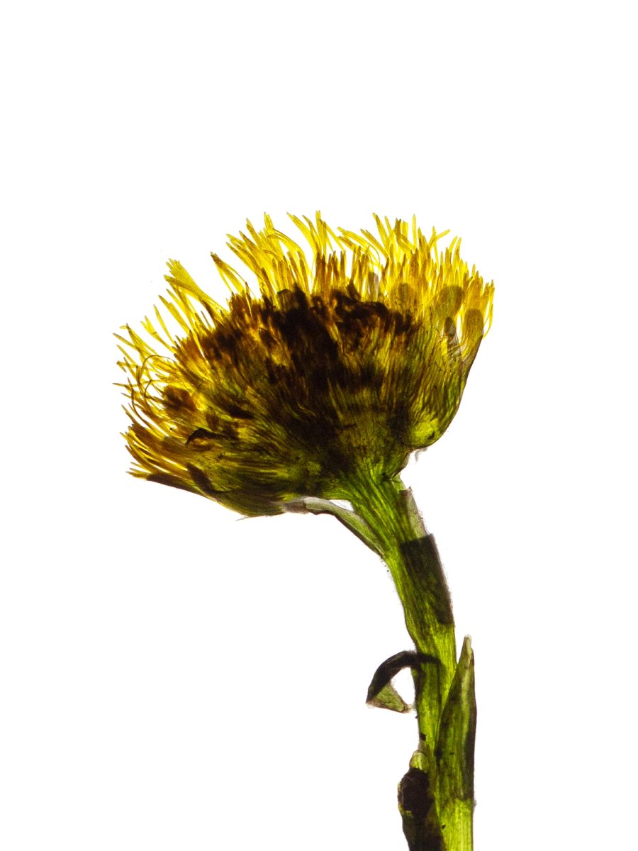 Detail, Pliezhausen, Germany, 04/2021