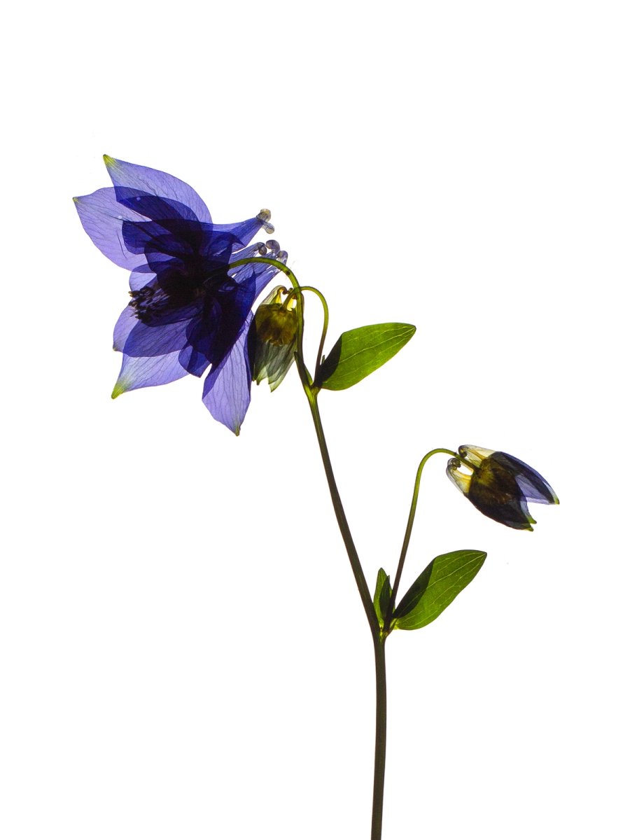 Stammheim, Germany, 05/2022