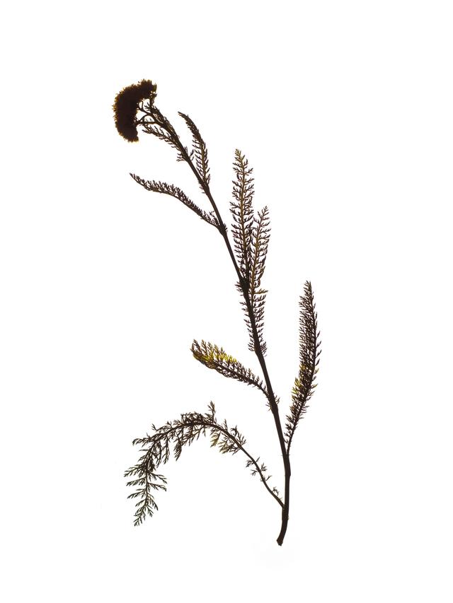 Offenbach, Germany, 05/2019