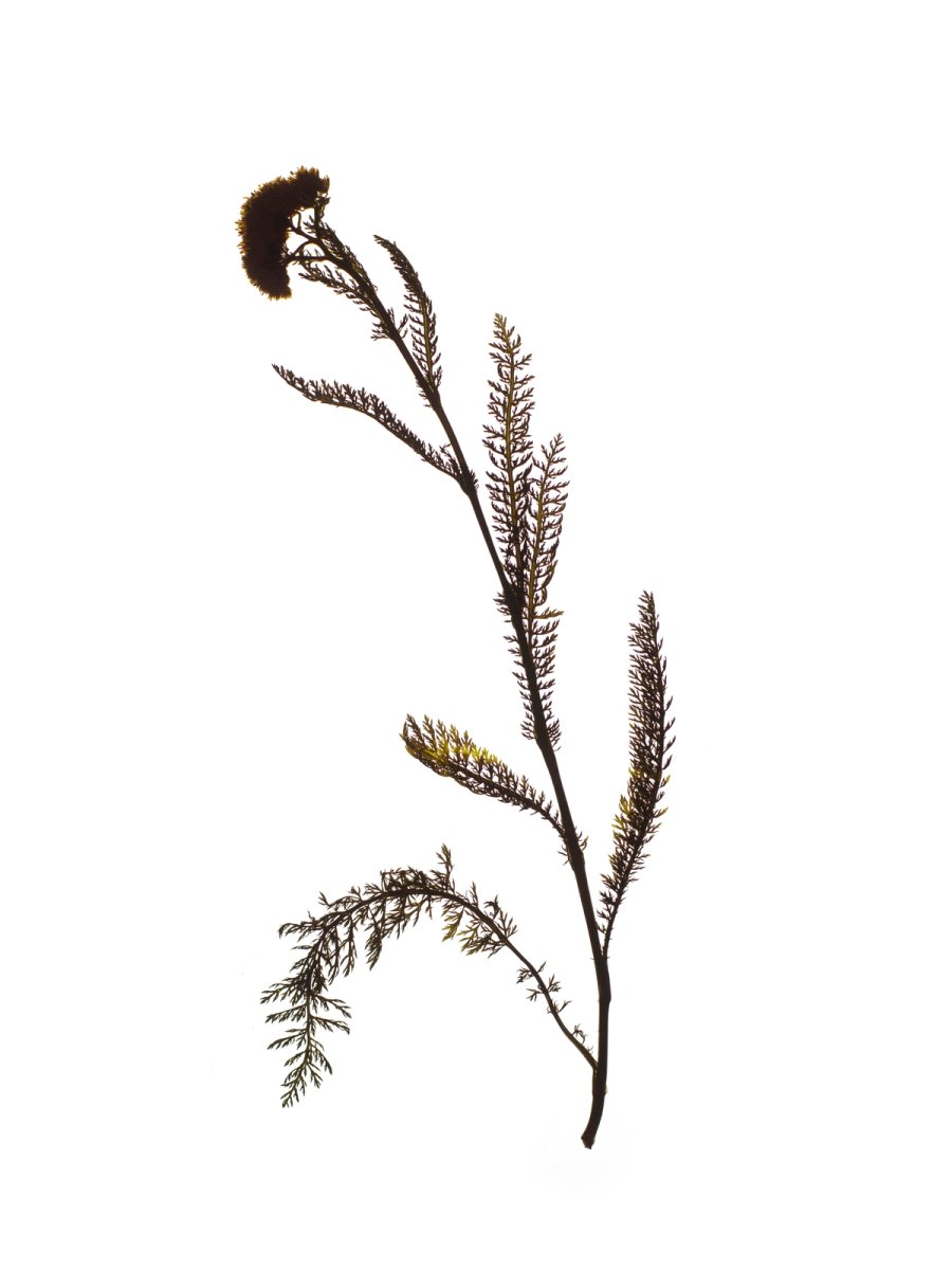 Offenbach, Germany, 05/2019