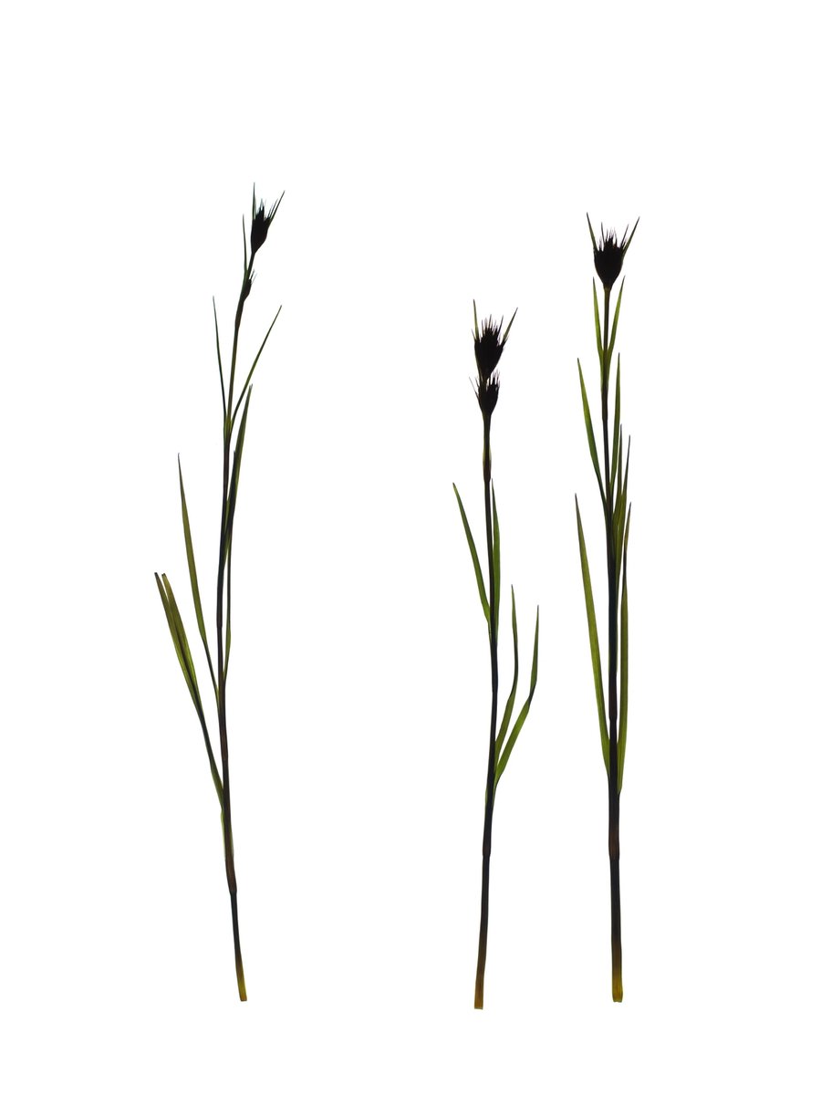 Offenbach, Germany, 05/2019