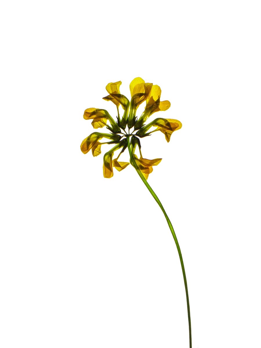 Detail, Zürich, Switzerland, 05/2021