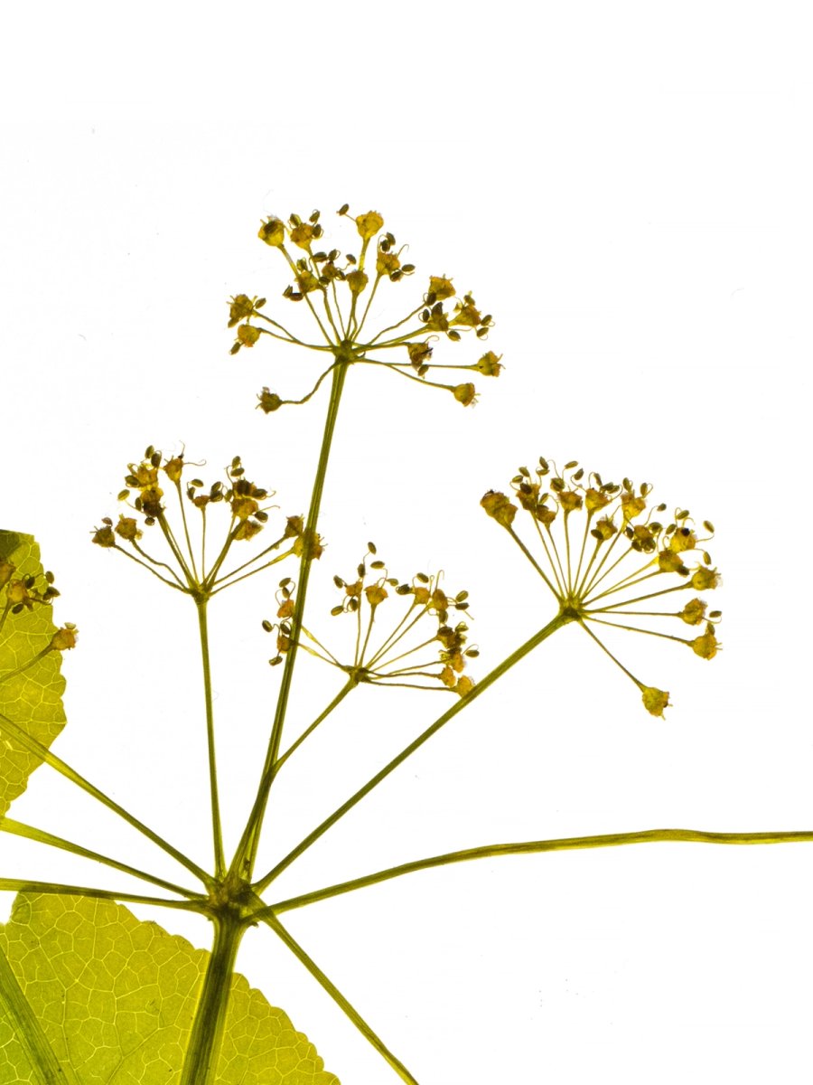 Prague, Czech Republic, 06/2018