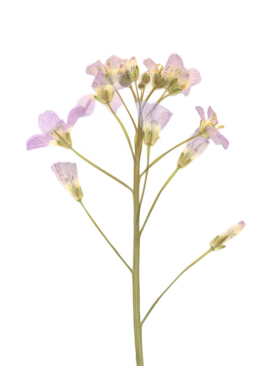 Pliezhausen, Germany, 05/2020