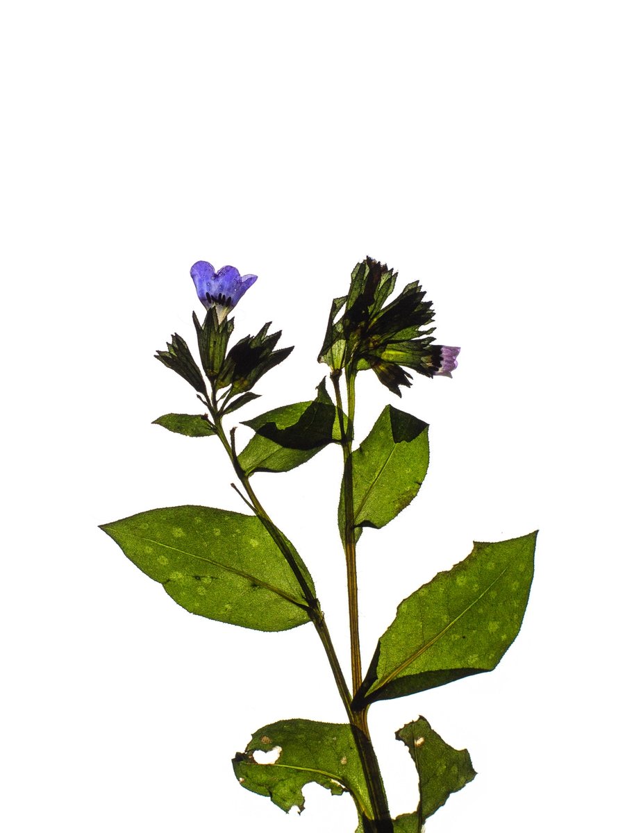 Detail, Tegernsee, Germany, 03/2024