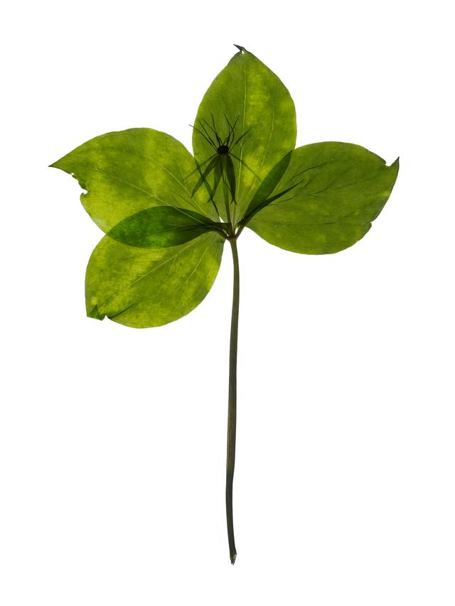 Reutlingen, Germany, 05/2025