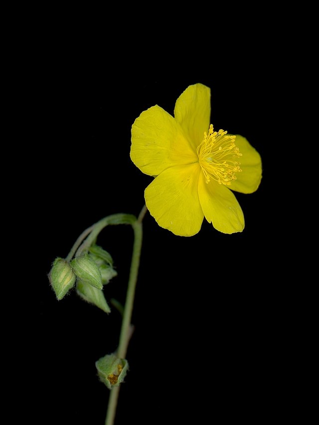 Thalkirchen, Germany, 09/2025