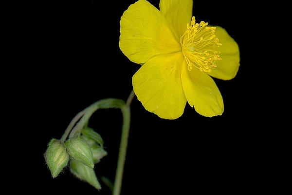 Thalkirchen, Germany, 09/2025