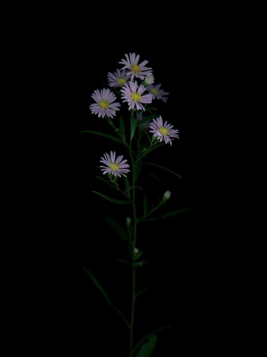 Thalkirchen, Germany, 09/2025