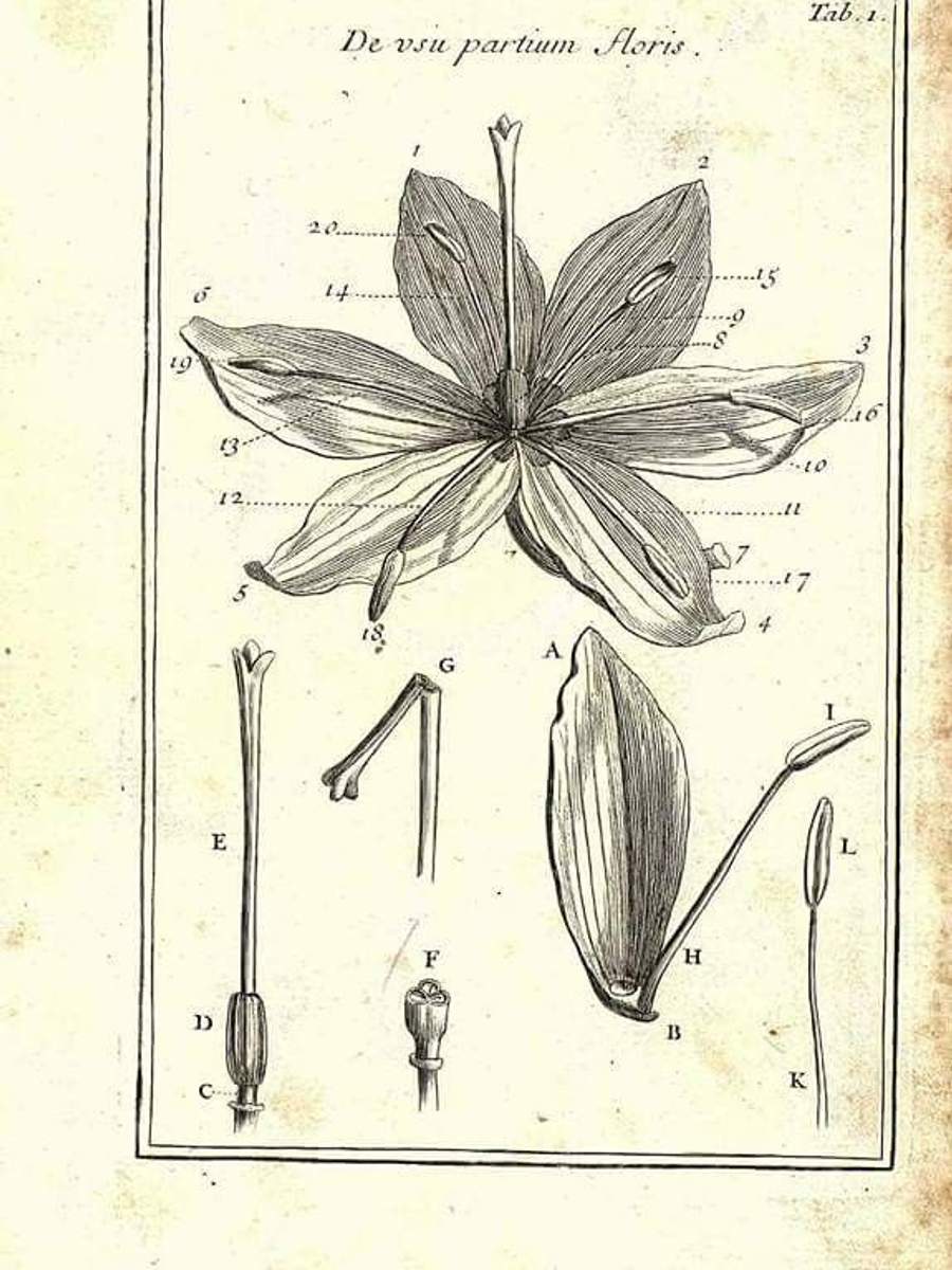 Submitted by Michael Powell from New York, USA