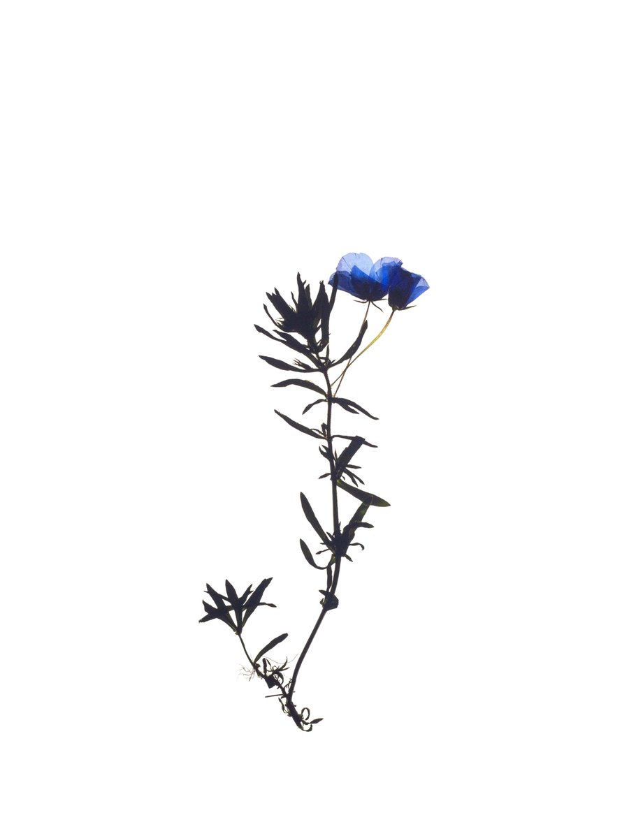 Stuttgart, Germany, 03/2022