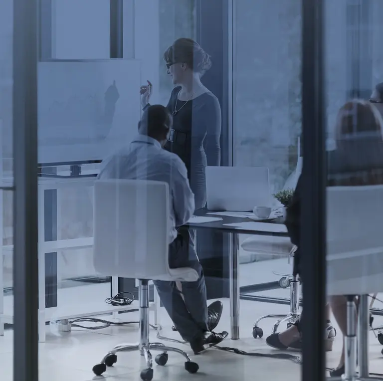 Risk and Due Diligence Leadership Training