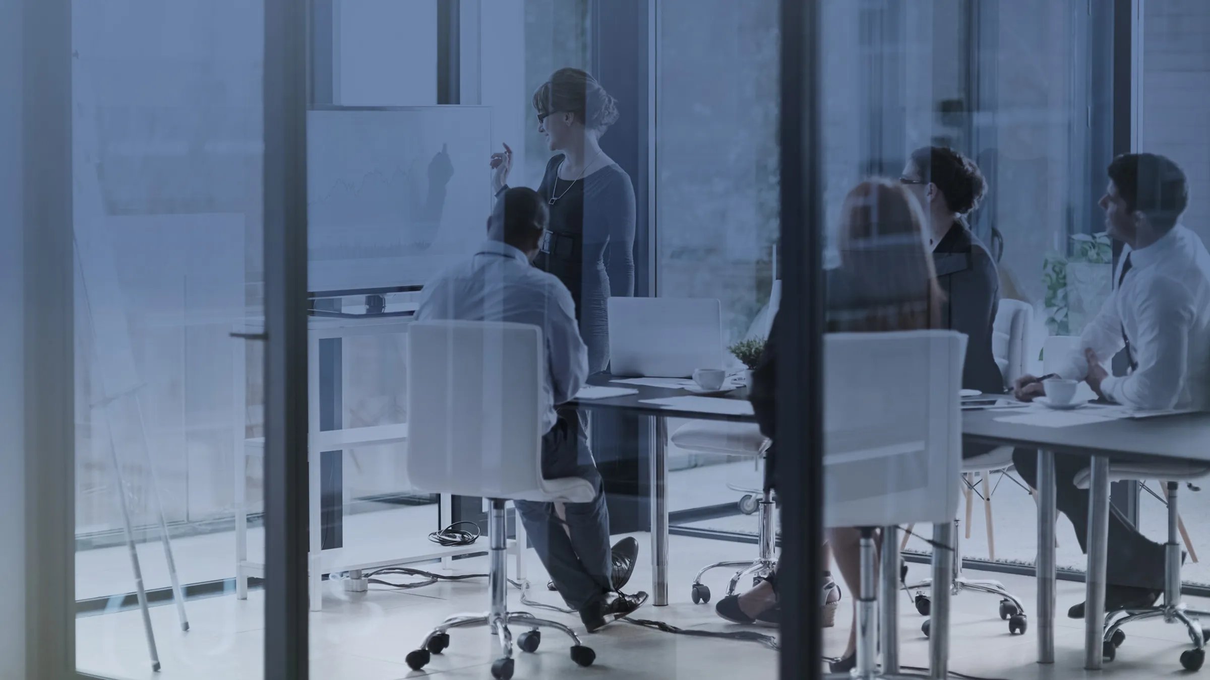 Risk and Due Diligence Leadership Training