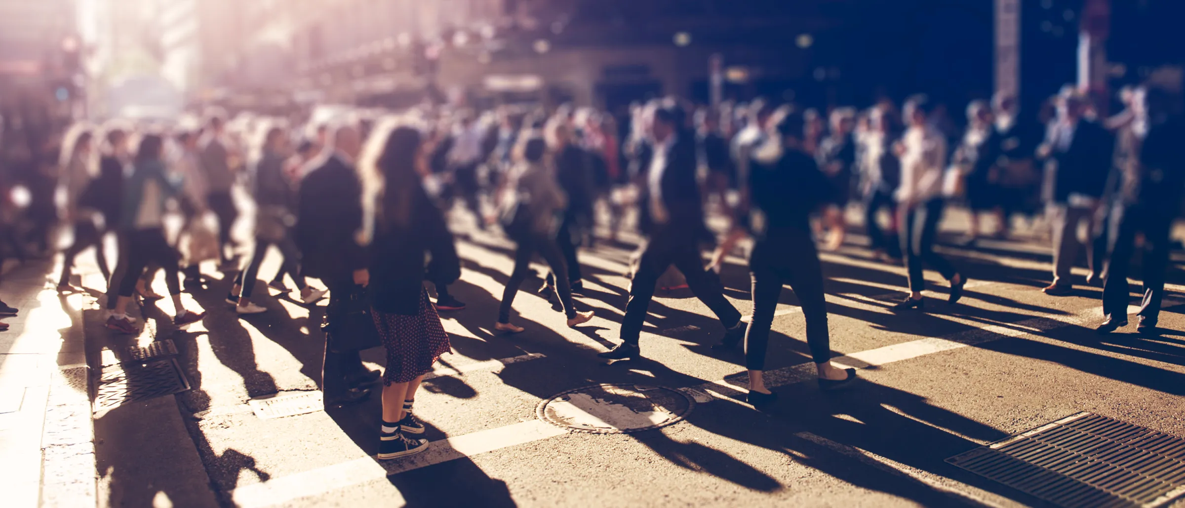 Protecting your workplace and your people.