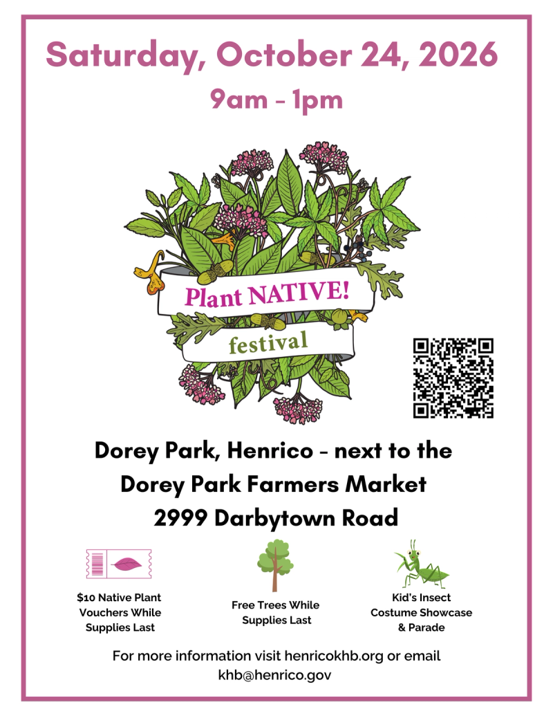 Plant NATIVE Festival flyer