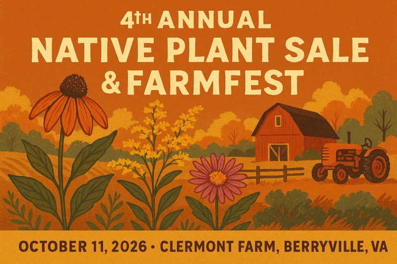 Clermont Farm Flyer
