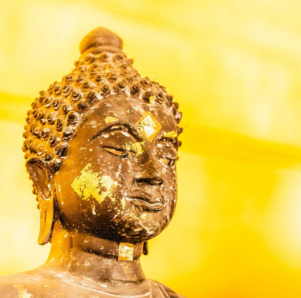 img_HMIOneCare Clinic 2025 Vesak