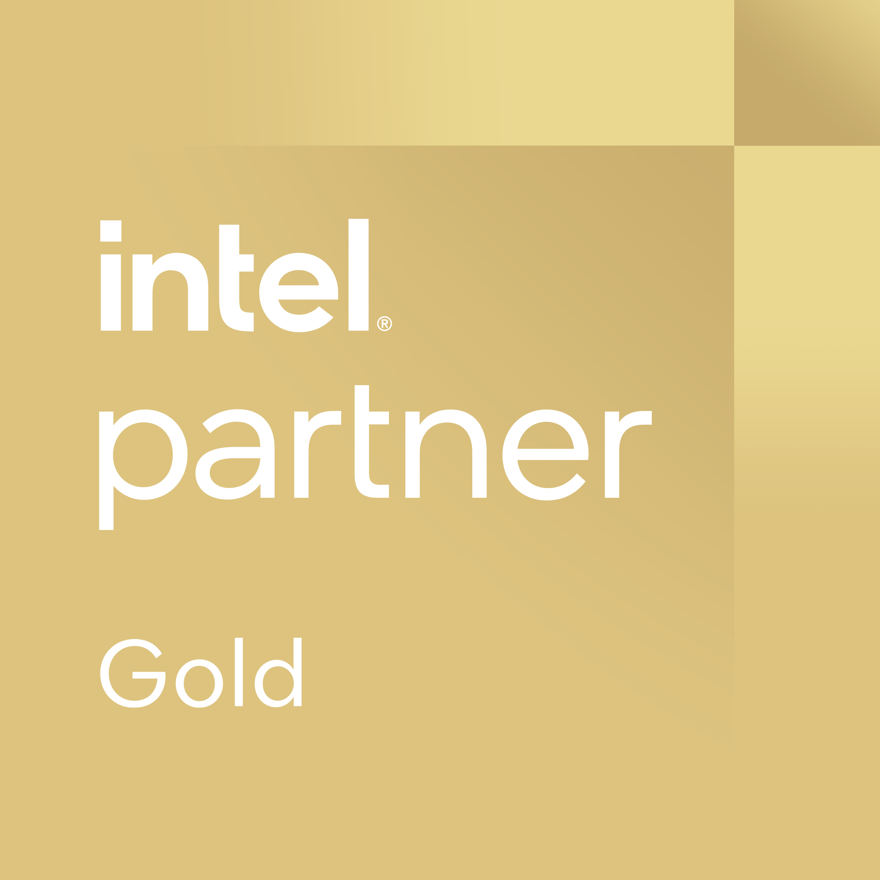 Intel Partner Alliance Gold