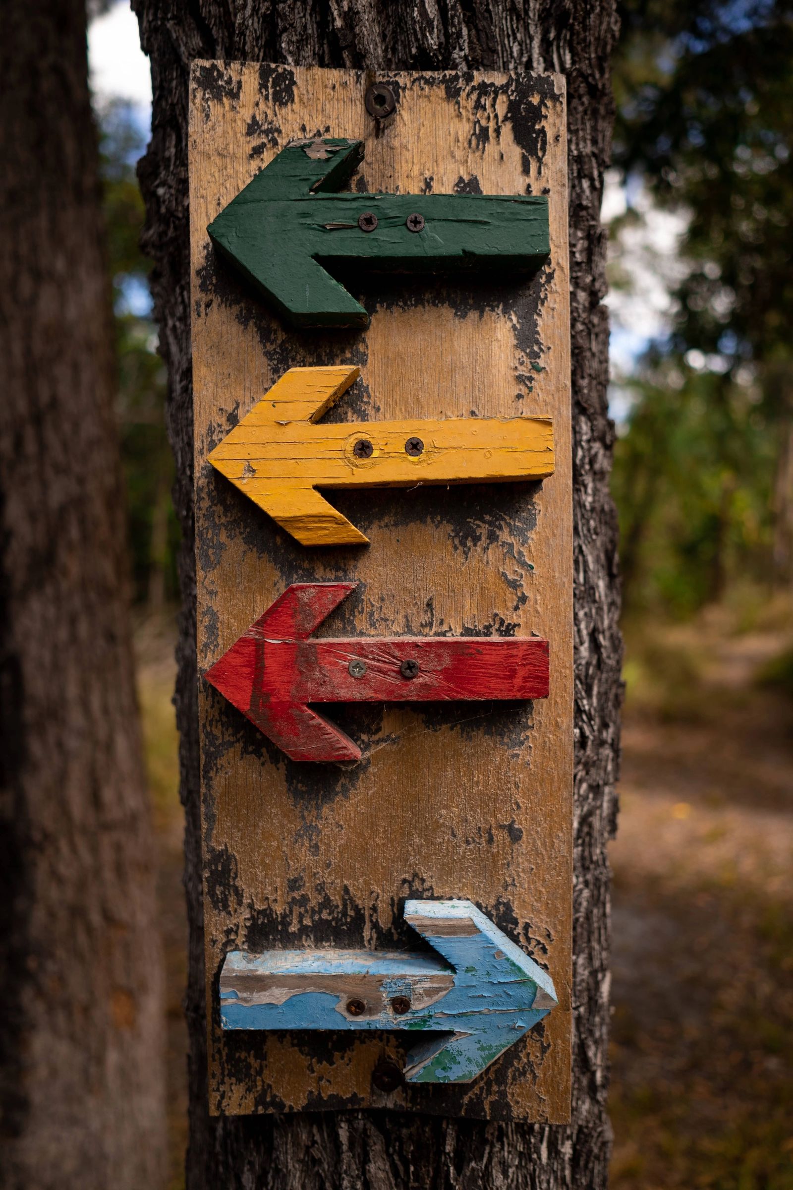 Multi-coloured arrows, three pointing left, one pointing right.