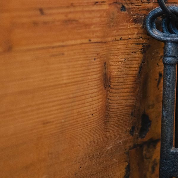 Photo by Silas K枚hler on Unsplash