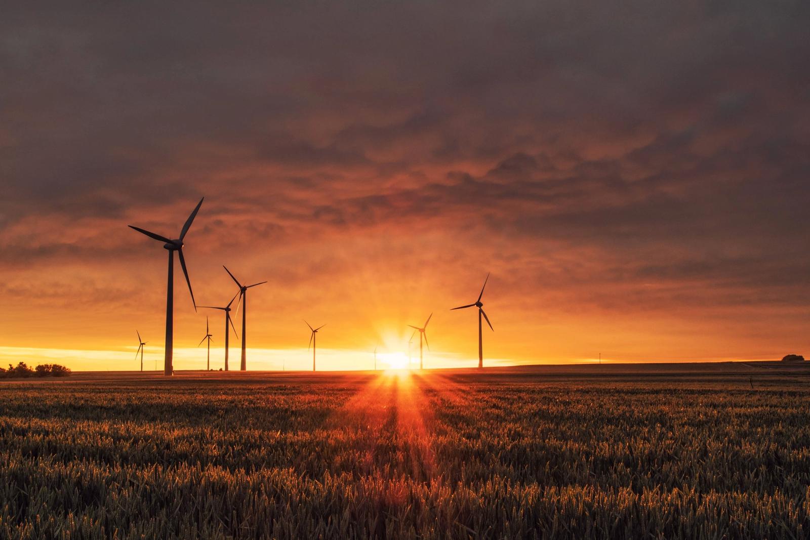 Photo of wind turbines in a field