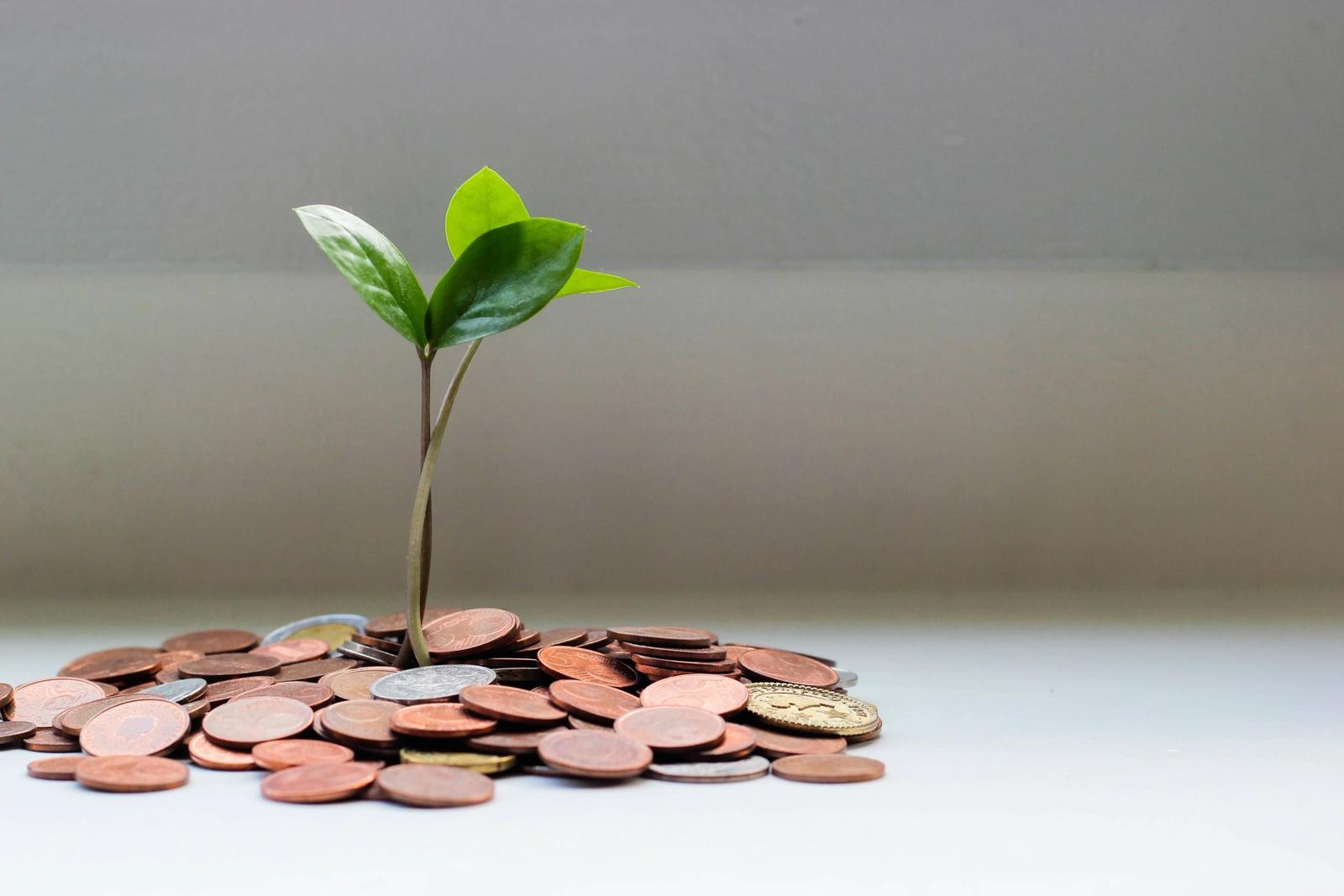 Green sprout surrounded by small copper coins