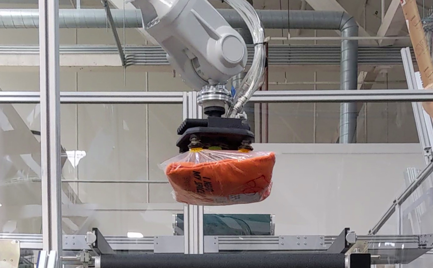 Covariant robot picking polybagged apparel