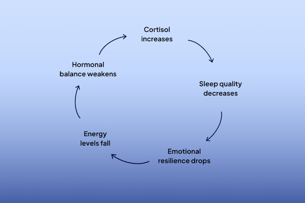 Sleep hormone connection diagram