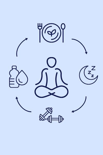 Everyday Wellness Diagram