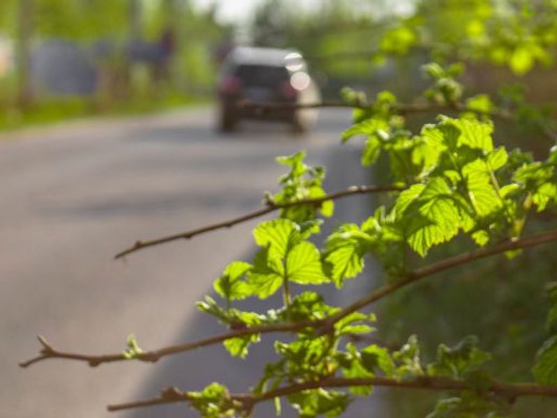 The estate planning collision