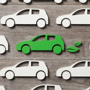 Electric Vehicles: Green, Mean and FBT Free
