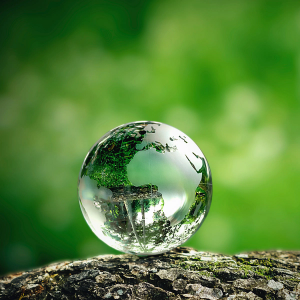 The Challenges for Businesses in Delivering Sustainability Reporting