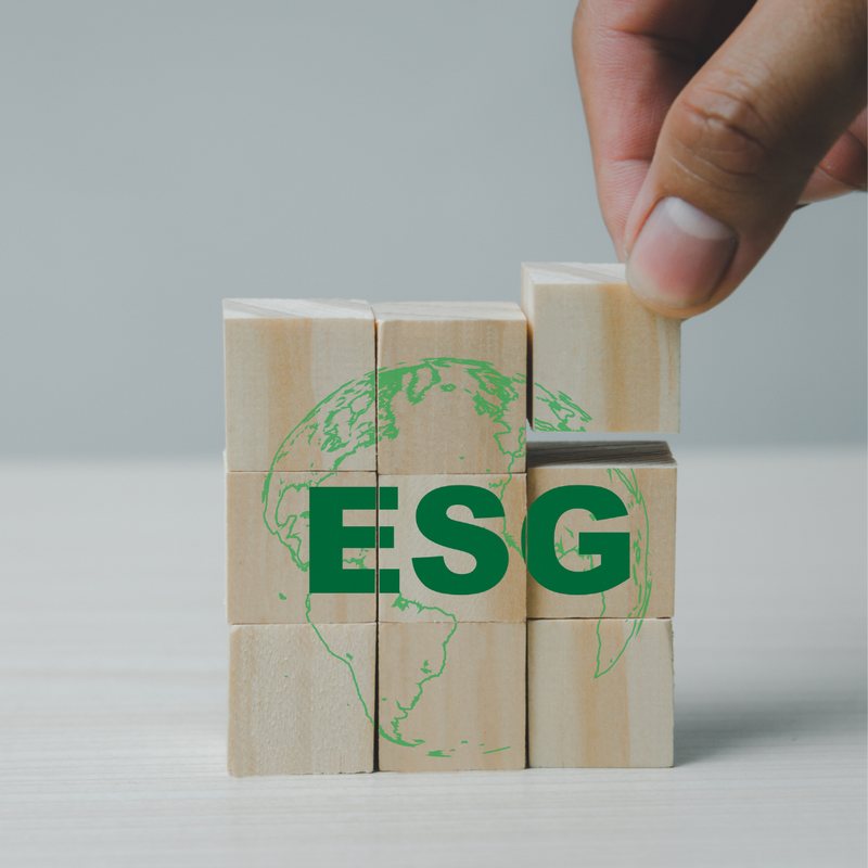 The Power of ESG - Issue #1