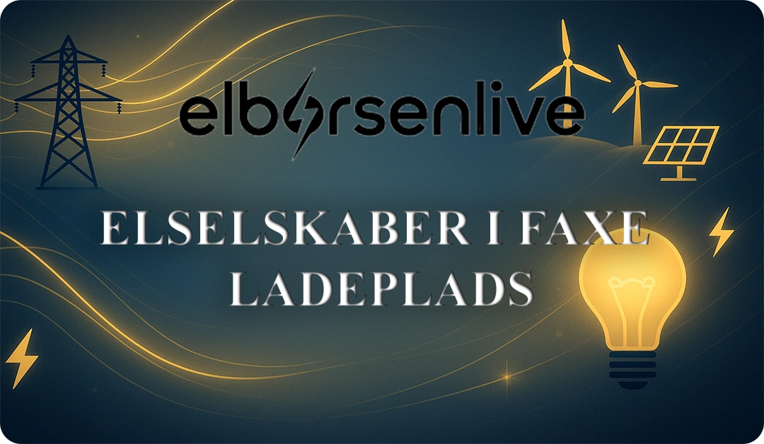 Elselskaber i Faxe Ladeplads