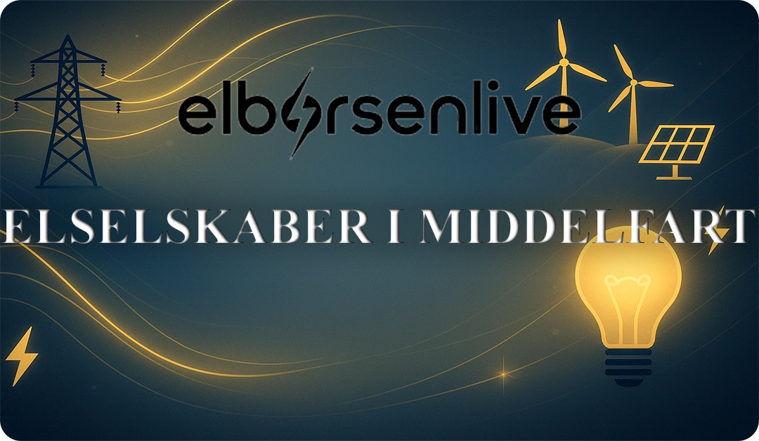 Elselskaber i Middelfart