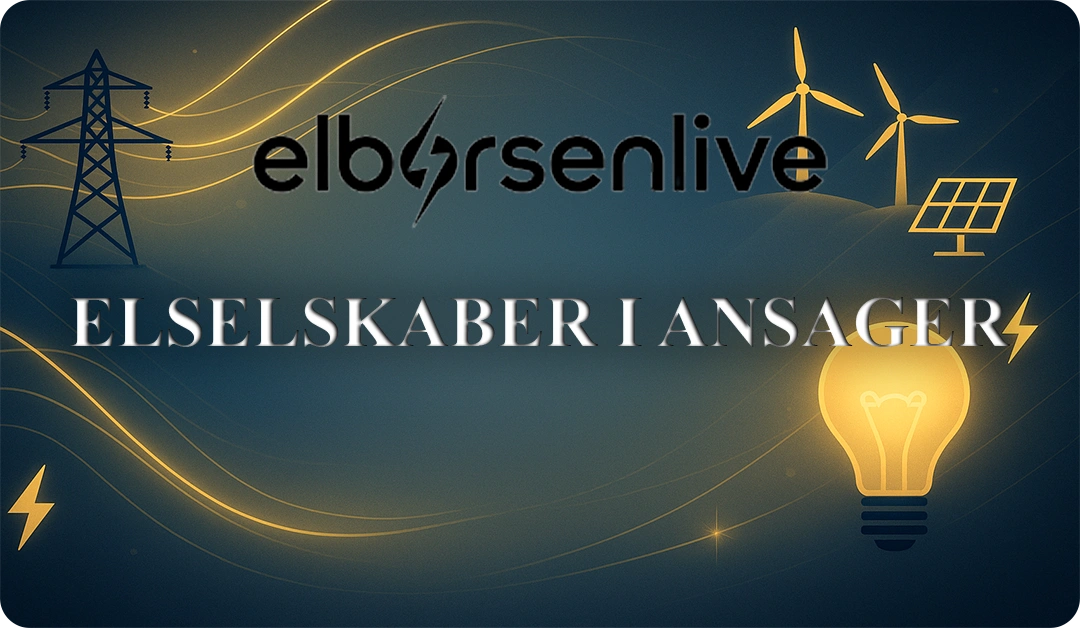 Elselskaber i Ansager